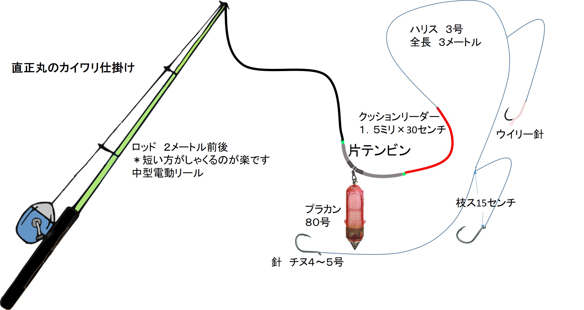 直正丸のカイワリ仕掛け